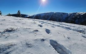 le coup de soleil